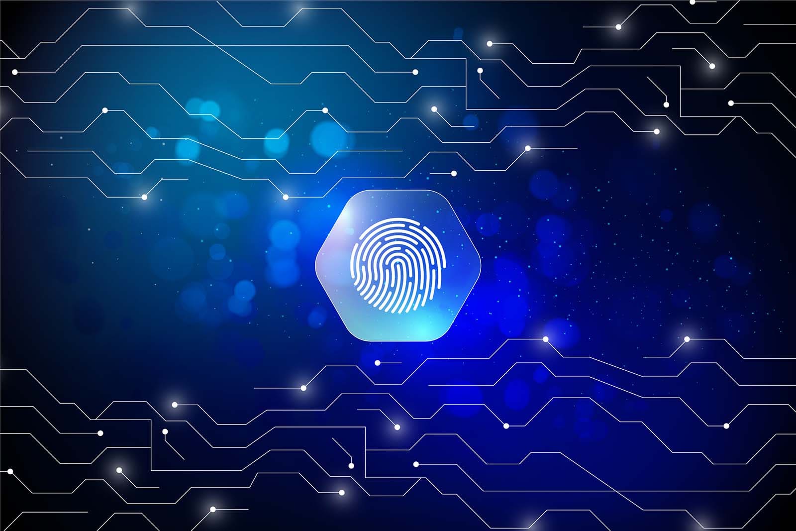 fingerprint